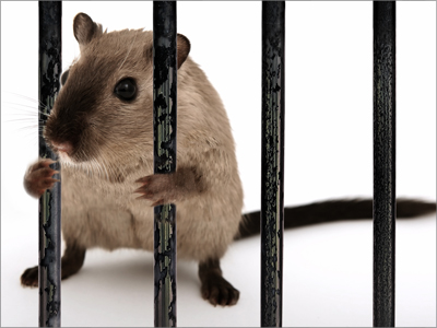 Promed Impex are grija de bunurile tale