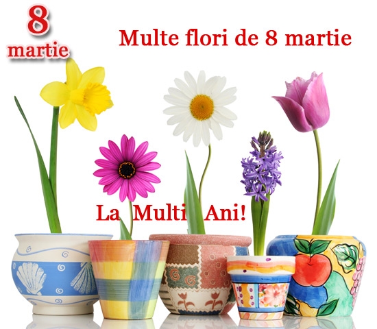 Producator flori. Topul celor mai vandute flori de 1 si 8 Martie