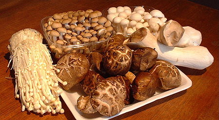 ciuperci medicinale