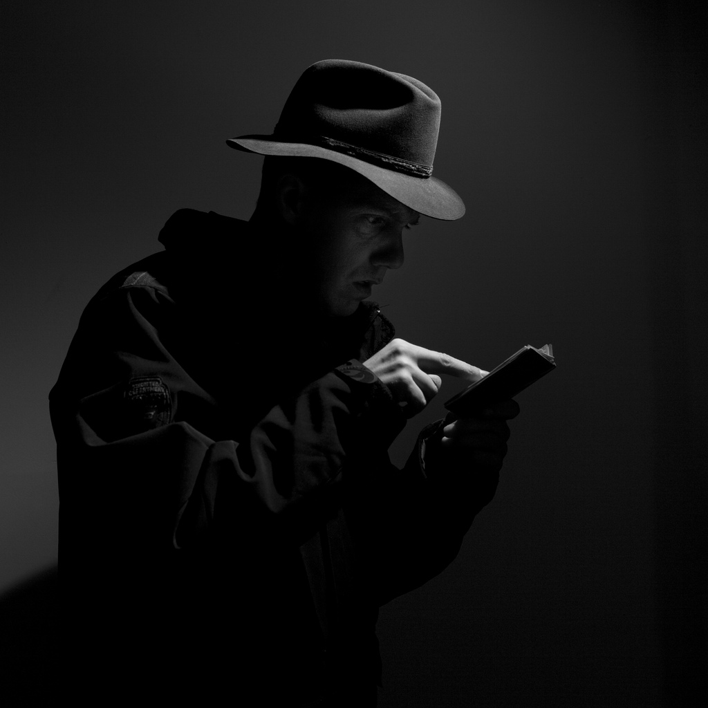 detectiv particular