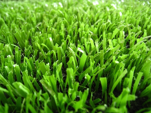 gazon sintetic teren fotbal