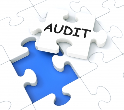 audit intern